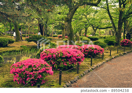 Kanazawa · Kenrokuen 89504238