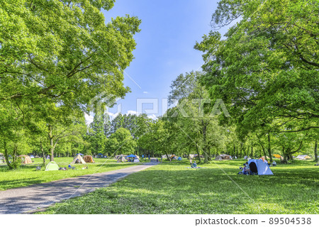 Day camp Akigase Park Day camp Akigase Park 89504538