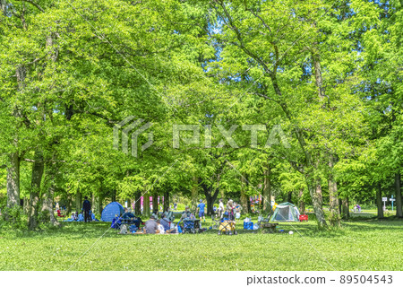 Day camp Akigase Park Day camp Akigase Park 89504543