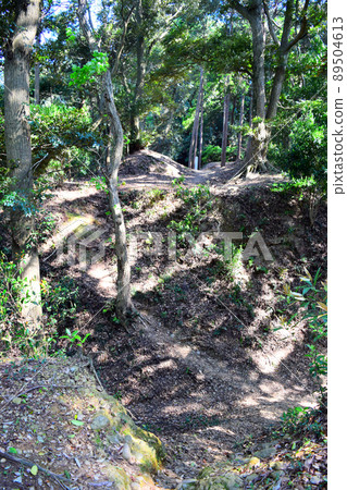 日本百城高天神城 89504613