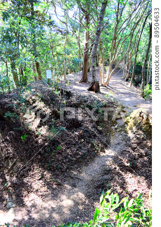 Takatenjin Castle, 100 Fine Castles of Japan 89504633