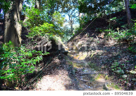 日本百城高天神城 89504639