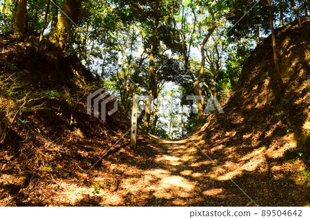 日本百城高天神城 日本百城高天神城 89504642