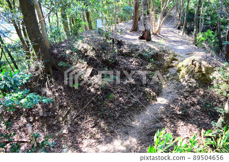 日本百城高天神城 89504656