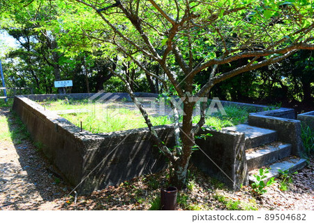 Takatenjin Castle, 100 Fine Castles of Japan 89504682