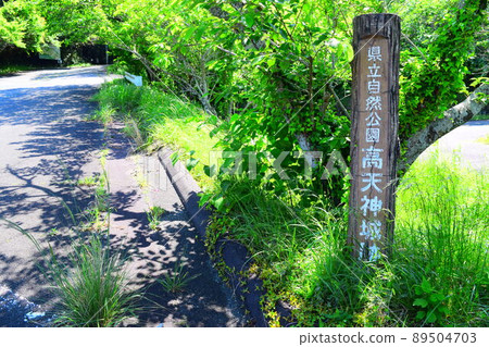 日本百城高天神城 89504703