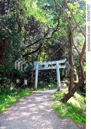 Takatenjin Castle, 100 Fine Castles of Japan 89504707
