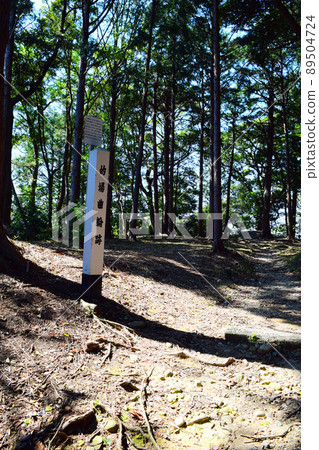 日本百城高天神城 89504724