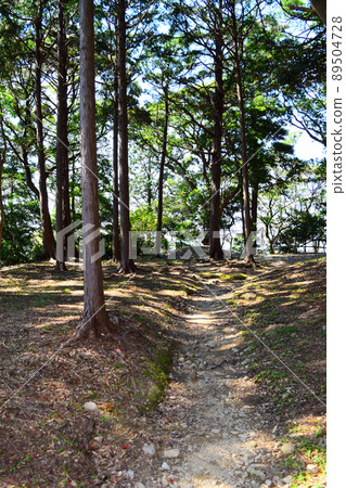 Takatenjin Castle, 100 Fine Castles of Japan 89504728