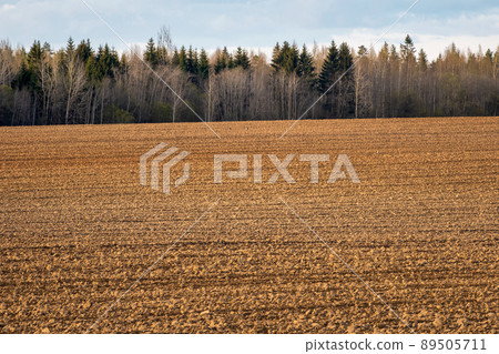 Slope arable land in front of the forest. Landscape with agricultural land, recently played and prepared for the crop. Slope arable land in front of the forest. Landscape with agricultural land, recently played and prepared for the crop. 89505711