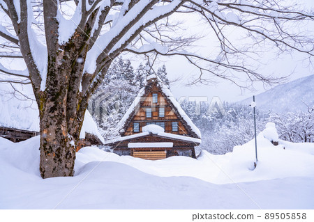 《Gifu Prefecture》 Snow-covered Shirakawa-go / winter gassho-zukuri village 89505858