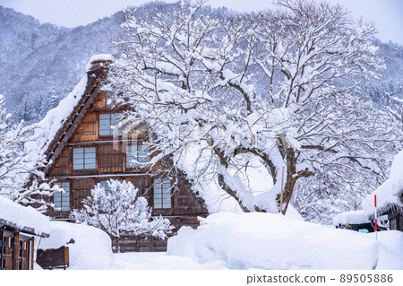 《岐阜縣》積雪的白川鄉/冬季合掌祖村 89505886