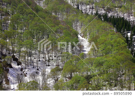 Scenery from around Jogakura Bridge in Aomori Prefecture 89505890
