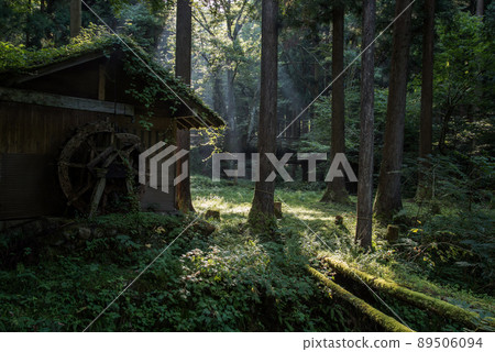 An old watermill and light beam in a fantastic forest 89506094