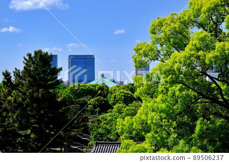 Scenery seen from the castle tower of Edo Castle 89506237