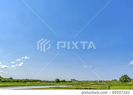 Spring Akigase Park Saitama Prefecture 89507282