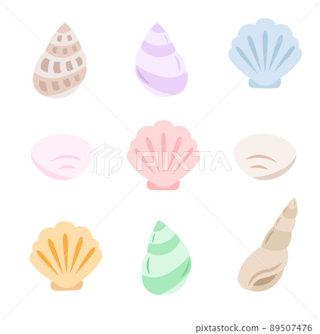 貝殼插圖的變體集 貝殼插圖的變體集 89507476