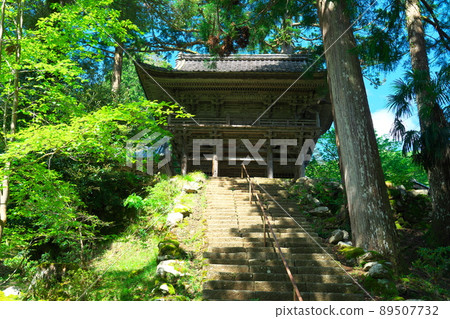 [Japan Heritage] Myotsuji Temple, the only national treasure building in the prefecture, Fresh Green Niomon, Obama City, Fukui Prefecture 89507732