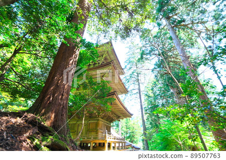 [Japan Heritage] Myotsuji Temple, the only temple in the prefecture that has a national treasure building, the three-storied pagoda of the national treasure and the Sugigiri 2 Obama City, Fukui Prefecture 89507763