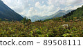 View of Dombay Mountains 89508111