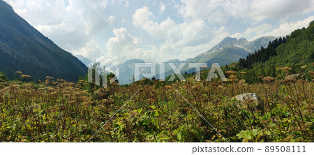 View of Dombay Mountains 89508111