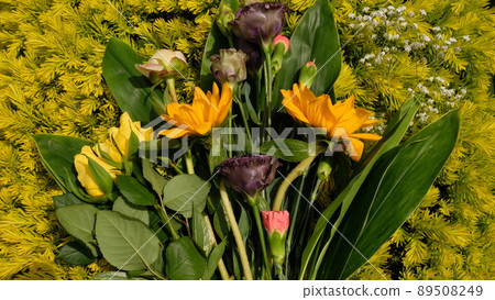 A carpet of yellow-green sprouts and a vibrant bouquet of yellow and purple 89508249