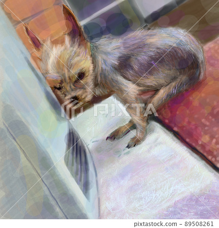 Yorkshire terrier that warms with a fan heater Yorkshire terrier that warms with a fan heater 89508261