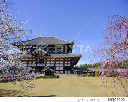 東大寺,俯瞰櫻花的大佛殿 東大寺,俯瞰櫻花的大佛殿 89508503