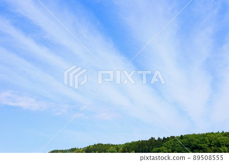 Early summer sky Early summer sky 89508555