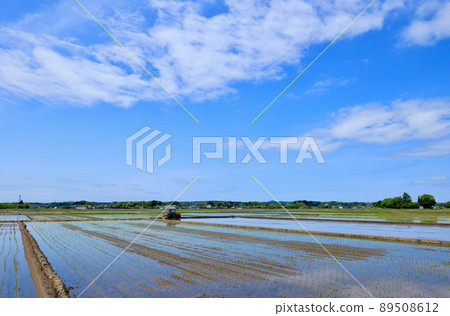 Paddy field Mito City, Ibaraki Prefecture 89508612