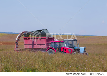 Mechanized harvesting of essential oil crops, sage with the help of tractors Mechanized harvesting of essential oil crops, sage with the help of tractors 89509522
