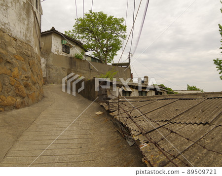 In the alleyway, vegetable garden, and garden of the Buddha. 89509721