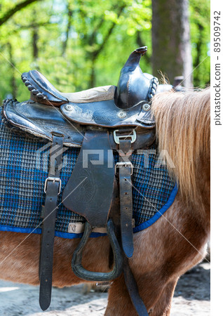 Saddle with stirrups  of a horse 89509742