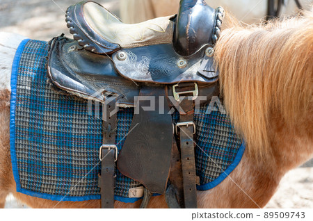 Saddle with stirrups of a horse Saddle with stirrups of a horse 89509743