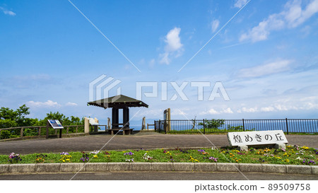 Spring in Ita Glittering Hill, Numazu City, Shizuoka Prefecture, on the Izu Peninsula 89509758
