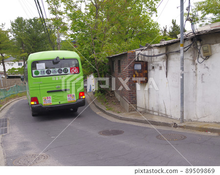 Bullduhwa.Geumranghwa.Green onion.White in the vegetable garden. 89509869