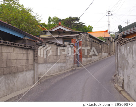 Bullduhwa.Geumranghwa.Green onion.White 在菜園裡。 89509870