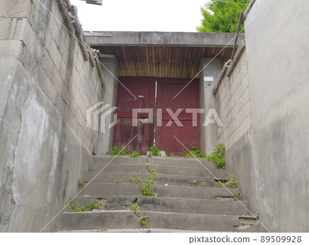 Bullduhwa.Geumranghwa.Green onion.White in the vegetable garden. 89509928