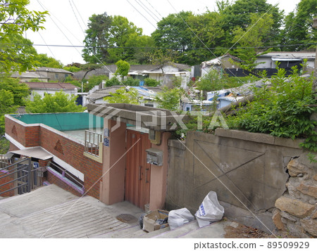 Bullduhwa.Geumranghwa.Green onion.White in the vegetable garden. 89509929