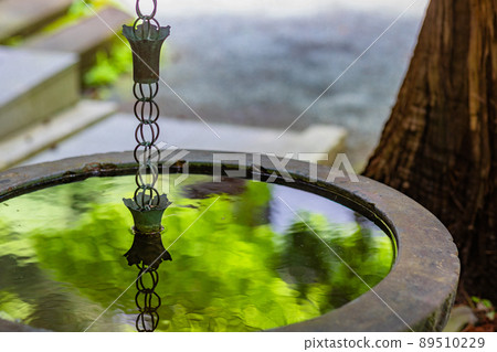 [Kanagawa Prefecture] Rain chain that shines in a rainwater bowl * Photographing cooperation "Kakuonji" property release acquired 89510229