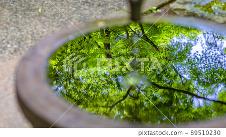 [Kanagawa Prefecture] Fresh green reflected in the rainwater bowl * Photographing cooperation "Kakuonji" property release acquired 89510230