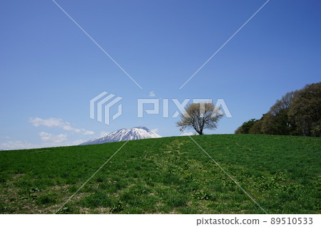 三角山一棵櫻桃樹 89510533