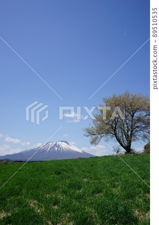 三角山一棵櫻桃樹 89510535