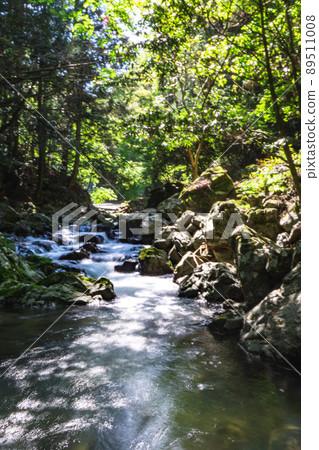 A mountain stream in the Yamabuki Valley located in Shakudai, Shimamoto Town, Osaka Prefecture A mountain stream in the Yamabuki Valley located in Shakudai, Shimamoto Town, Osaka Prefecture 89511008