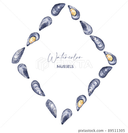 Border with watercolor mussels - Stock Illustration [89511305] - PIXTA