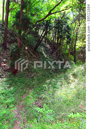 Takiyama Castle Continued 100 Fine Castles in Japan Takiyama Castle Continued 100 Fine Castles in Japan 89511884