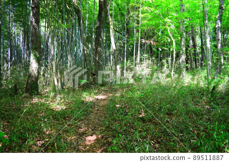 瀧山城續日本100座精美城堡 瀧山城續日本100座精美城堡 89511887