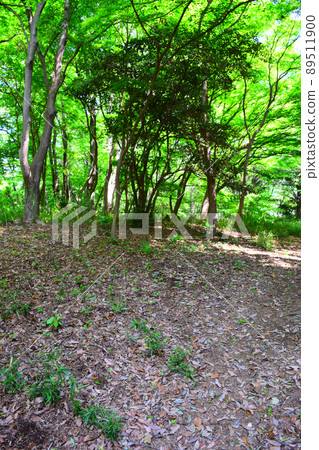 瀧山城續日本100座精美城堡 瀧山城續日本100座精美城堡 89511900