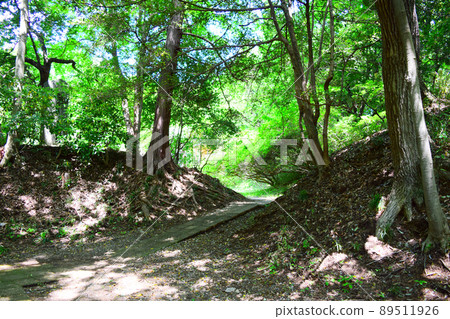 瀧山城續日本100座精美城堡 瀧山城續日本100座精美城堡 89511926