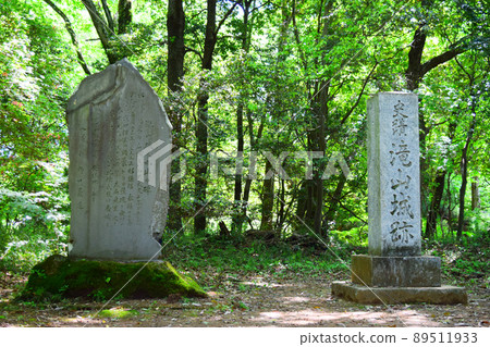 瀧山城續日本100座精美城堡 瀧山城續日本100座精美城堡 89511933